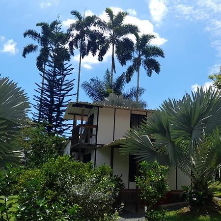 Cabanas En El Bosque Borrero Ayerbe Zewnętrze zdjęcie