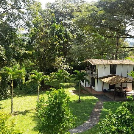 Cabanas En El Bosque Borrero Ayerbe Zewnętrze zdjęcie