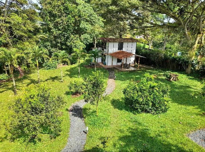 Cabanas En El Bosque Borrero Ayerbe Zewnętrze zdjęcie