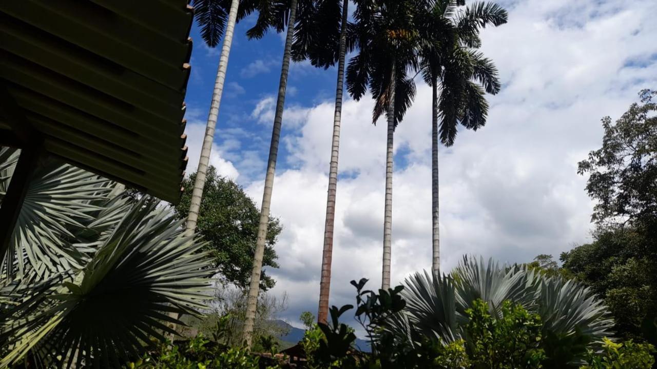 Cabanas En El Bosque Borrero Ayerbe Zewnętrze zdjęcie