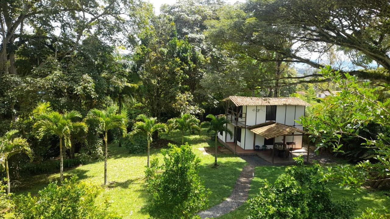 Cabanas En El Bosque Borrero Ayerbe Zewnętrze zdjęcie